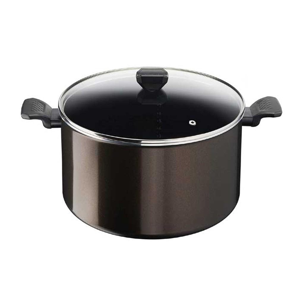 Tefal B5546902 - katls ar stikla vāku un pretpiedeguma pārklājumu, 30 cm