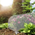 ddd