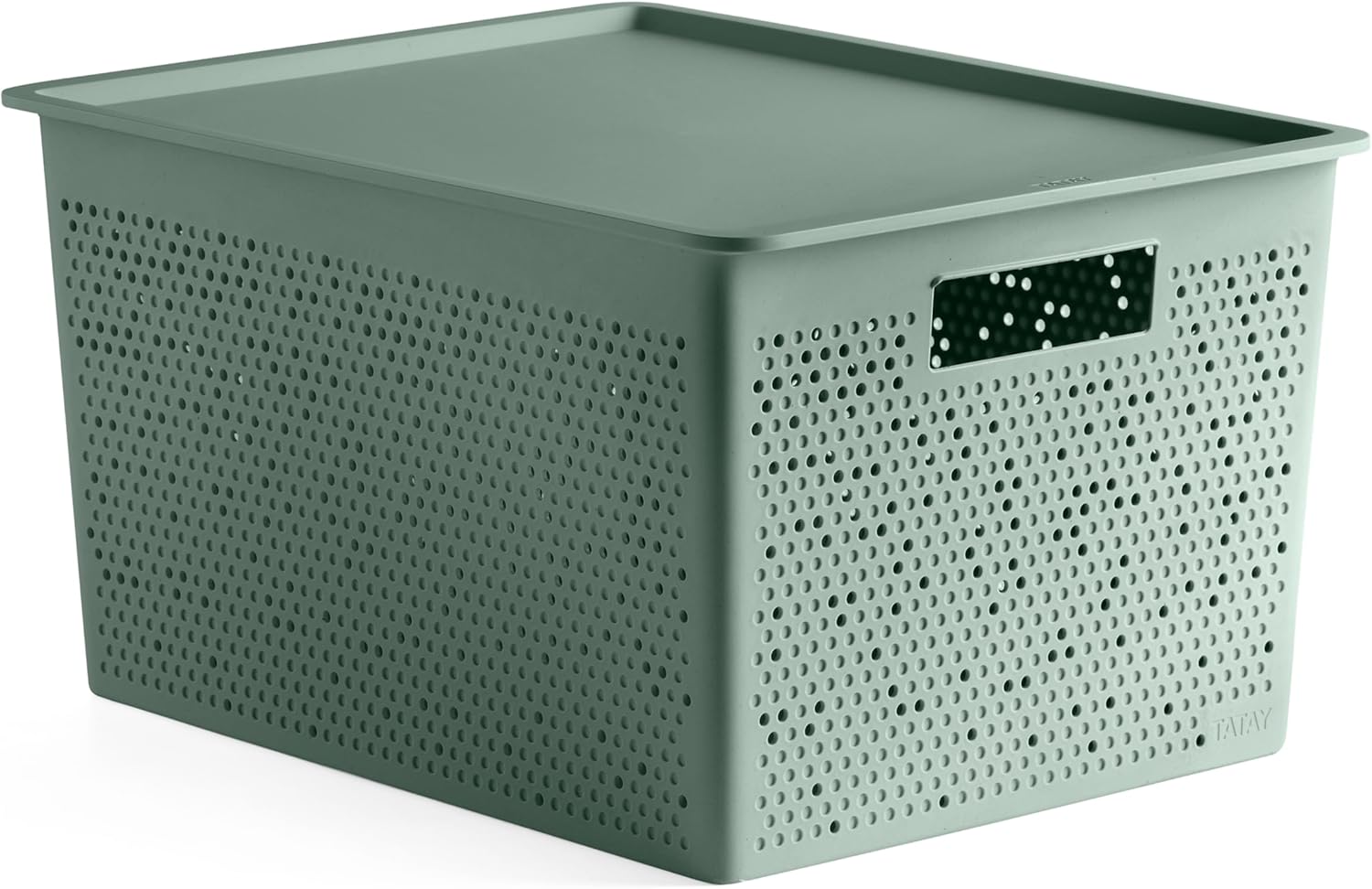 TATAY 7014307 - Taisnstūrveida organizatoru kastīte ar vāku, 20L, izmēri 30,5 x 39,5 x 22 cm