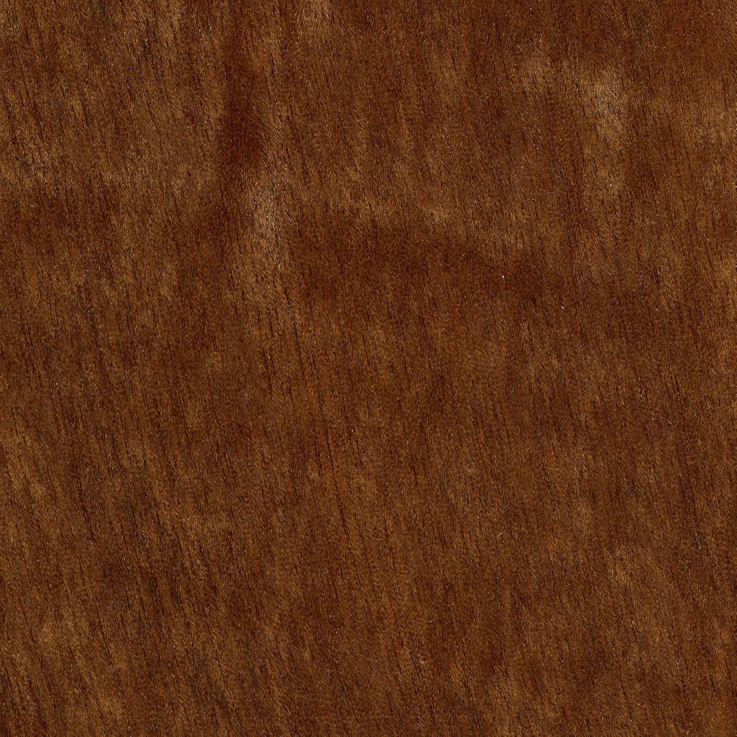 9162kUD12FL._AC_SL1500_