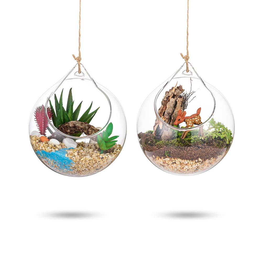Glasseam - karājama stikla vāze terārijam, sukulentiem, 10 cm